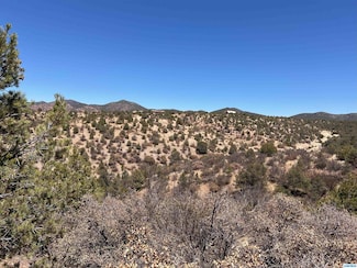 26 Babbling Brook Rd, Silver City, NM 88061