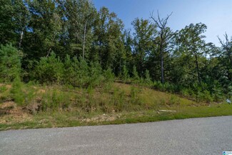 3165 Oakridge Way Unit 9, Chelsea, AL 35043