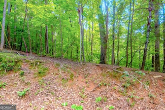 LT J350 Walnut Mountain, Ellijay, GA 30540