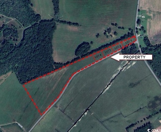 LOT 4 Gunters Island Rd, Galivants Ferry, SC 29544