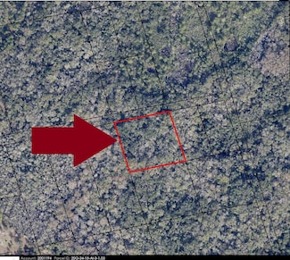 00000 No Access W of Meadows Green Rd, Mims, FL 32754