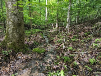 TBD Heritage Trail, Brasstown, NC 28902