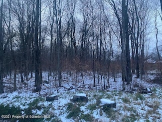 L 7 Havenstrite Ln, Covington Township, PA 18424