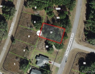 291 E Citrus Springs Blvd, Citrus Springs, FL 34434