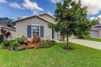 10238 Strawberry Tetra Dr, Riverview, FL 33578