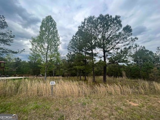 LOT 65 Village Loop, Blairsville, GA 30512
