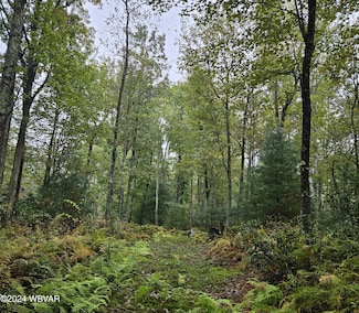 280 Elk Ridge Ln, Lock Haven, PA 17745