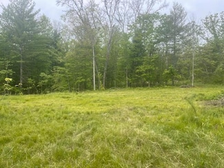 73 Harmony, Idlewild, MI 49642