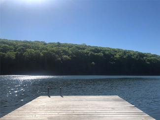 215 Little Pond Rd, Pawling, NY 12564