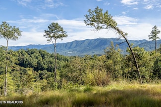 454 Mountain John Loop, Townsend, TN 37882