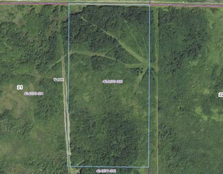 TBD 370th St NE, Veldt Township, MN