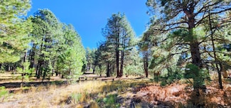 1958 Ferret Cir Unit 260, Forest Lakes, AZ 85931