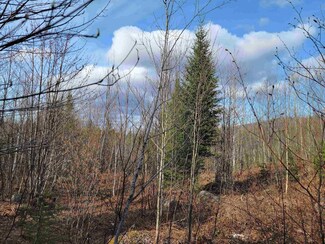 157 Hazen Dr, Bethlehem, NH 03574
