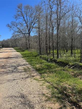 291 Nene Ln, Bastrop, TX 78602