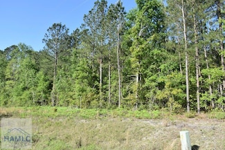 LOT 34 Scarlett Oak Ln, Garfield, GA 30420