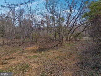 100 Flint Rd, Rileyville, VA 22650