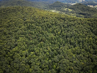 0 Wolf Run Rd Unit Lot WP001 18043099, Belington, WV 26250