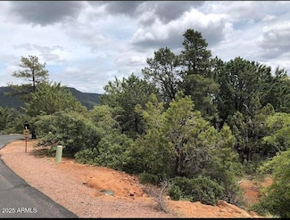 9 Lodgepole Cir, Pine, AZ 85544