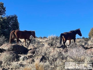40S Sw4nw4-S16 18n 21e, Virginia City, NV 89521