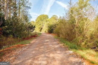 0 Old Potash Rd Unit 10517451, Cedartown, GA 30125