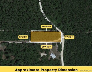 0000 NE 190th St, Fort McCoy, FL 32134