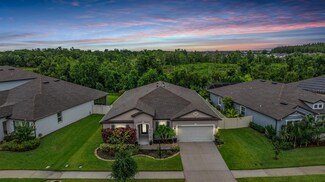 31545 Colada Drift Way, Wesley Chapel, FL 33545