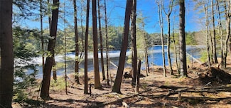 0 Stag Forest Rd, Forestburgh, NY 12777