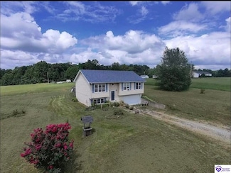 1145 Pitman Valley Rd, Campbellsville, KY 42718