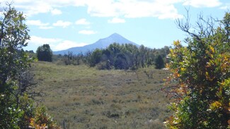 0 46x Unit 3 38898, Norwood, CO 81423