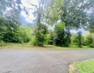 Tbd Grant Ave, Breaux Bridge, LA 70517