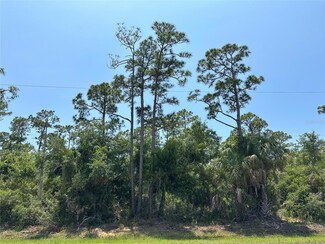 12097 Green Gulf Blvd, Punta Gorda, FL 33955