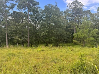 0 George Ford Rd Unit 183572, Carriere, MS 39426