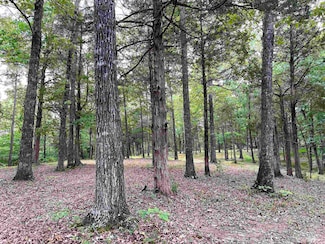 5335 Country Club Rd, Somerville, TN 38068