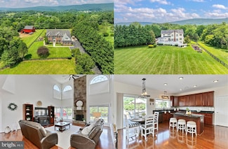 14311 Pinot Noir Ln, Hillsboro, VA 20132