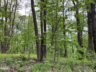 000 Little Valley Rd Unit Lot 18, Claysburg, PA 16625