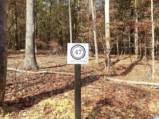 836 Cavalier Ridge Unit 47, Birmingham, AL 35242