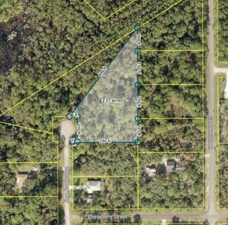 TBD Chinaberry Way, Eustis, FL 32736