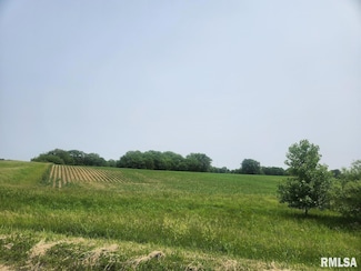15624 N Mendenhall Rd, Princeville, IL 61559