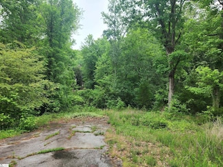 00 Tibbitts Ln, Waterloo, SC 29384