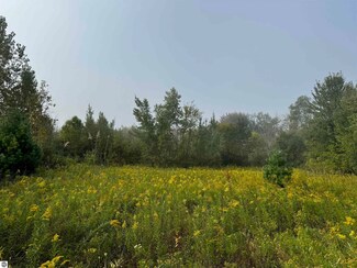 TBD S Leaton Rd, Shepherd, MI 48883