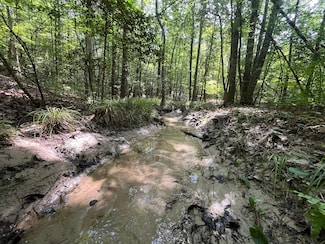 Off West State Line Rd, Haynesville, LA 71038