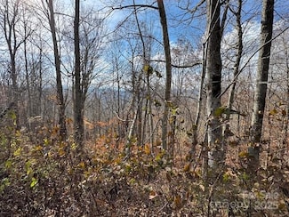 50 Scenic Wolf Ridge Rd, Mars Hill, NC 28754