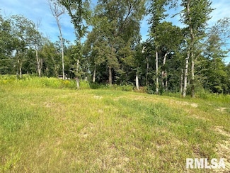 lot 2 225th St, Dewitt, IA 52742