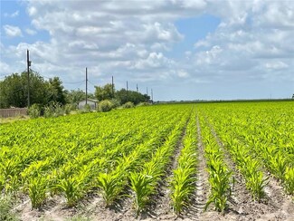 TBD N Fm 491 Rd, La Villa, TX 78562