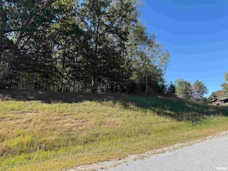 0000 Clifty Ln, Goreville, IL 62939