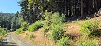 17450 Antelope Dr E, Pioneer, CA 95666
