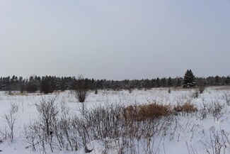 70 Acres S Maple Rd, Dafter, MI 49724
