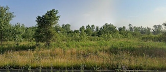 3300 Westwood Ln, Lynwood, IL 60411