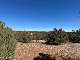 32 County Road 3048, Concho, AZ 85924