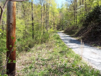 000 Bannick Springs Rd, Whittier, NC 28789